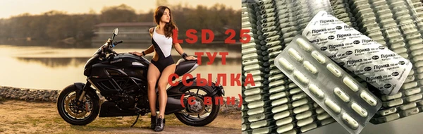 a pvp Надым