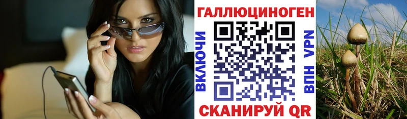 Псилоцибиновые грибы Psilocybe  Сосногорск 
